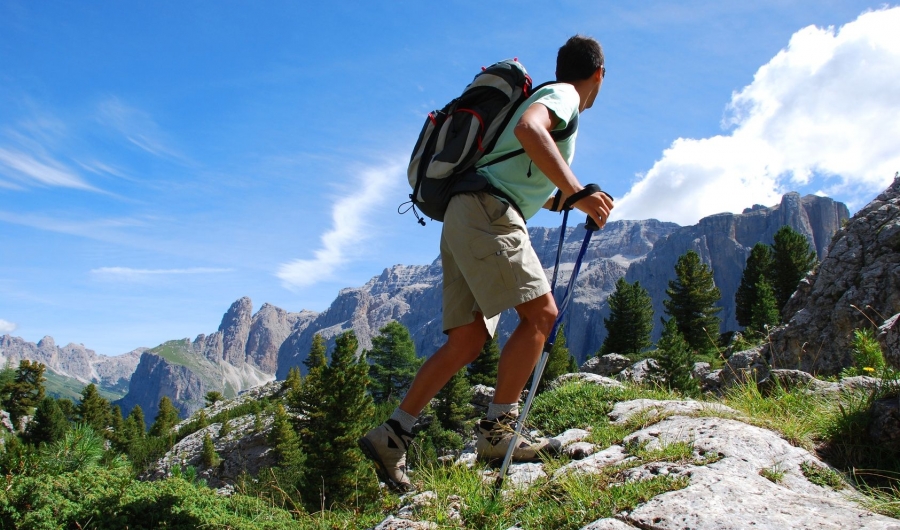 Wanderer mit Rucksack und Wanderstöcken auf felsigem Bergpfad, umgeben von Nadelbäumen und Berggipfeln unter blauem Himmel.